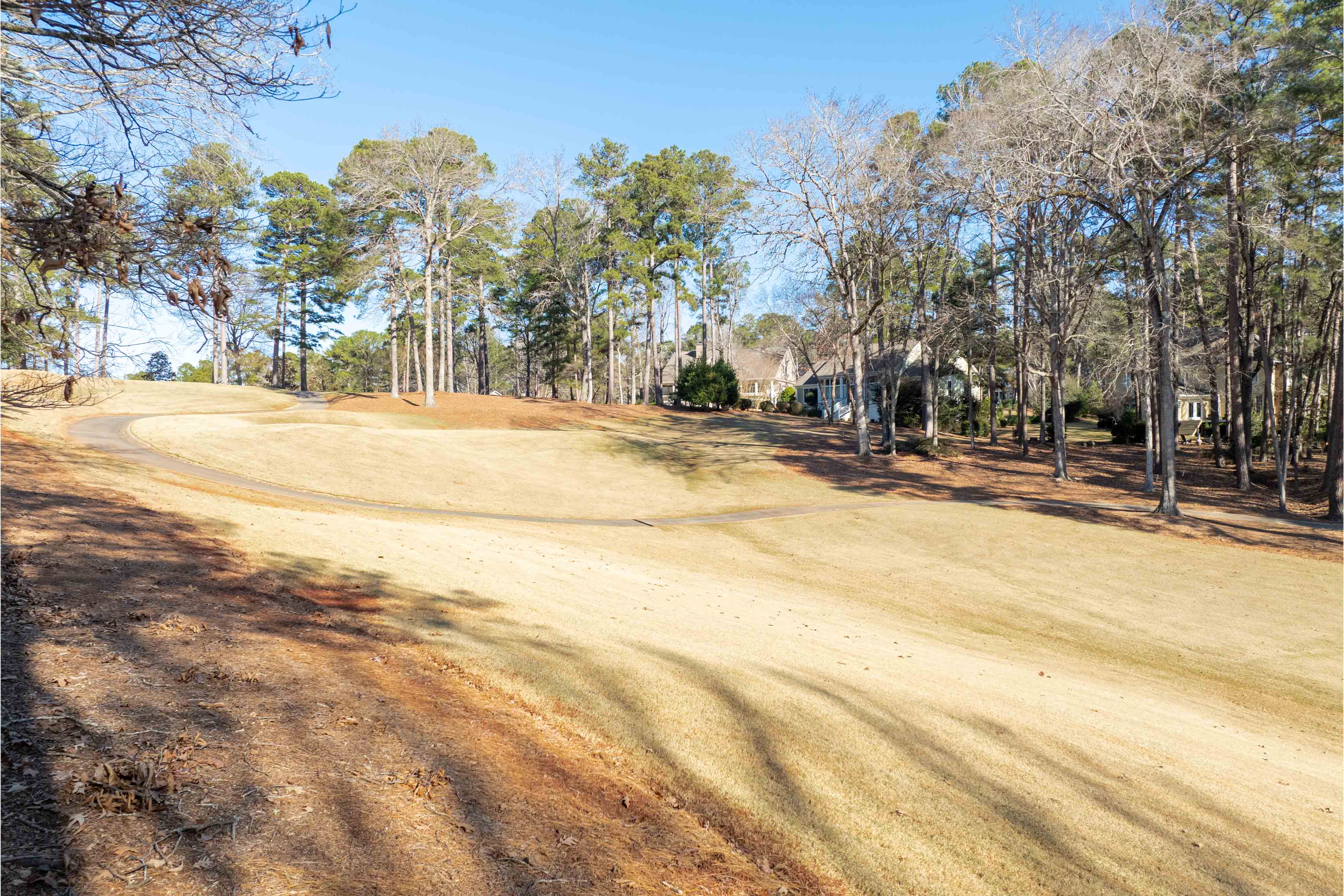 1180 Planter's Trail image 12